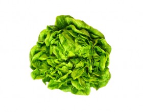 Salanova verde